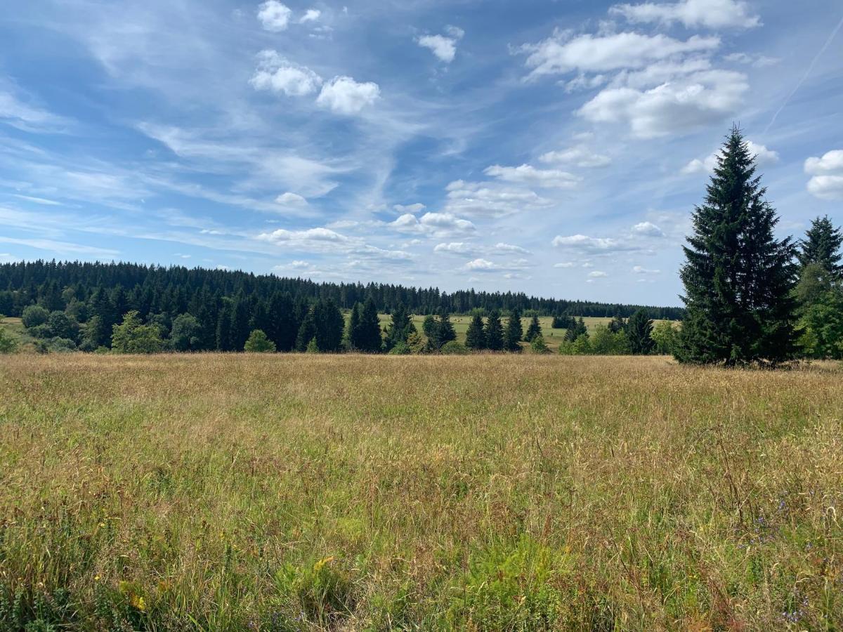 Ubytovani U Mateje Horni Blatna Exterior photo